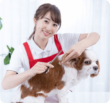 service
