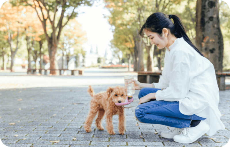 petsitter
