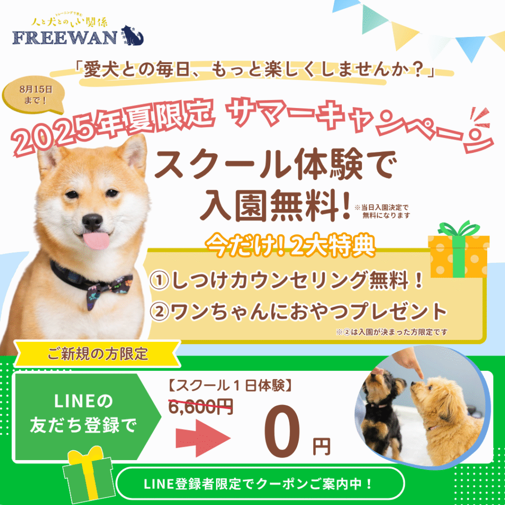 Campaign